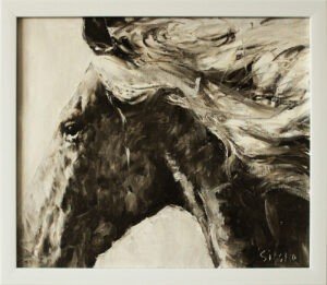 Black and White VI Horse series
